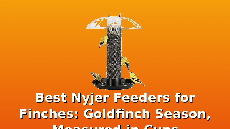 Best Nyjer Feeders for Finches: Goldfinch Season, Measured in Cups - FeederFen review with measurements and honest opinion