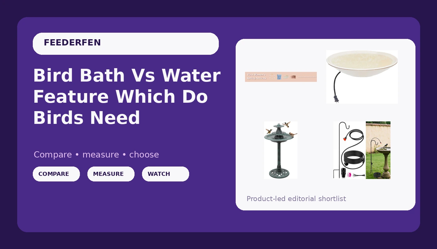 Bird Bath Vs Water Feature Which Do Birds Need - FeederFen review with measurements and honest opinion