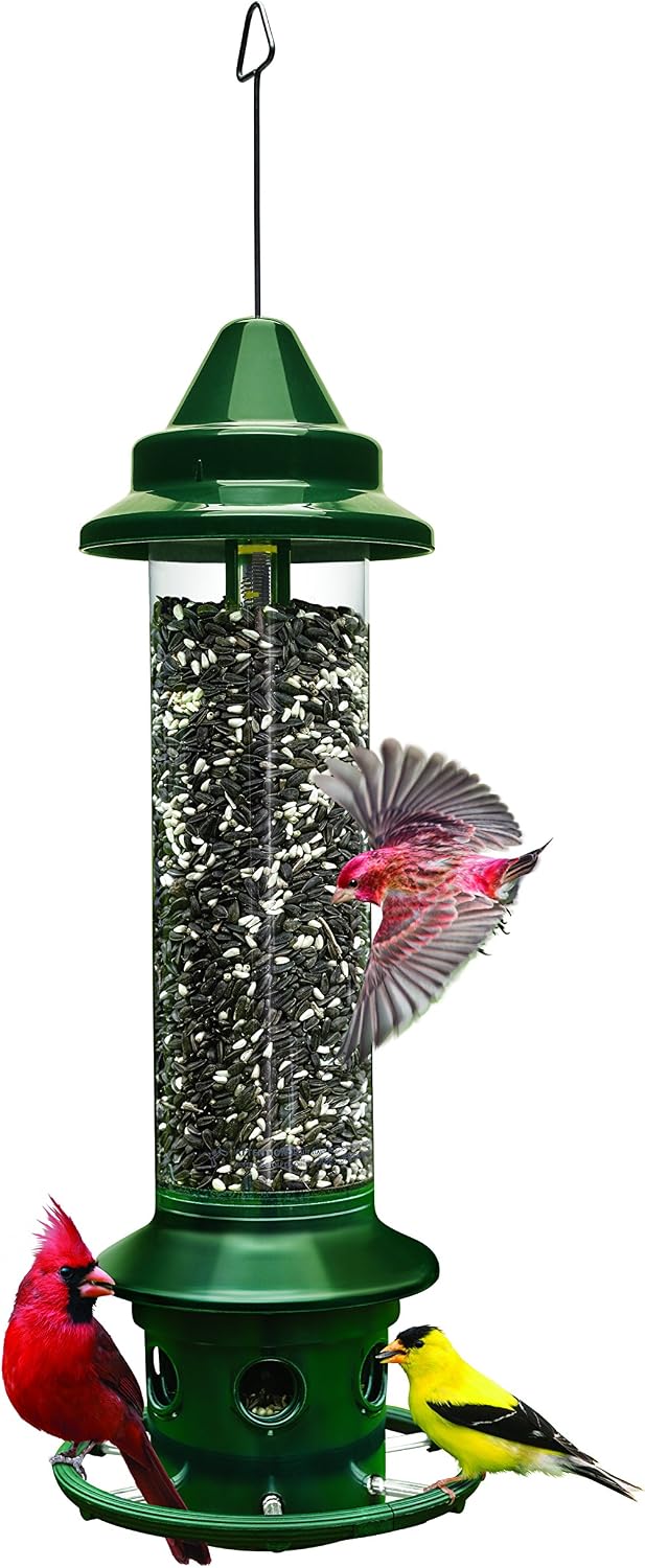 Brome Squirrel Buster Plus (B0007LQ3RQ)