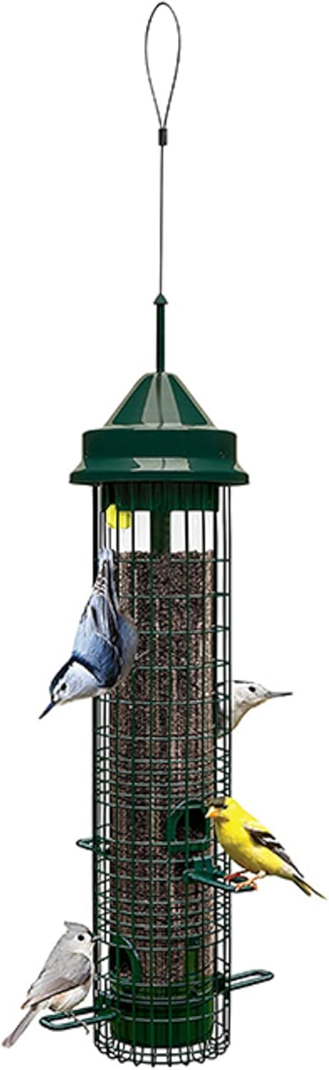 Brome Squirrel Buster Classic (B000HHHEF0)