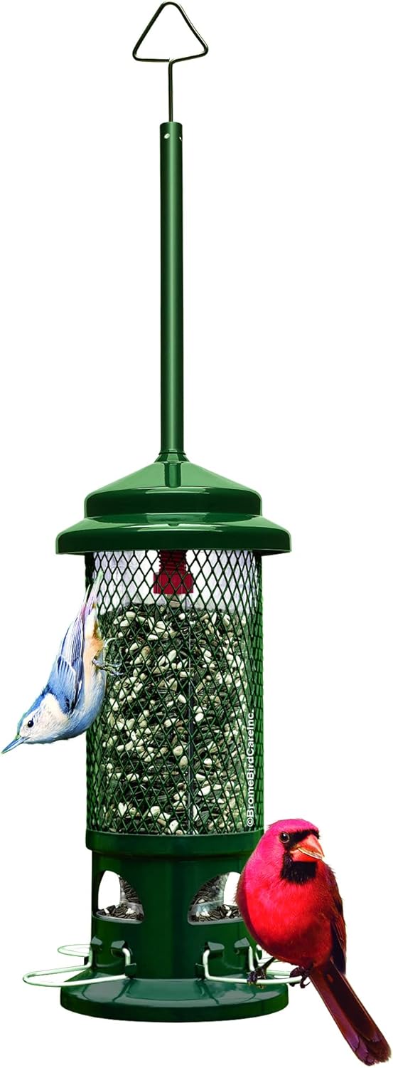 Brome Squirrel Buster Standard (B00ABGSX4S)