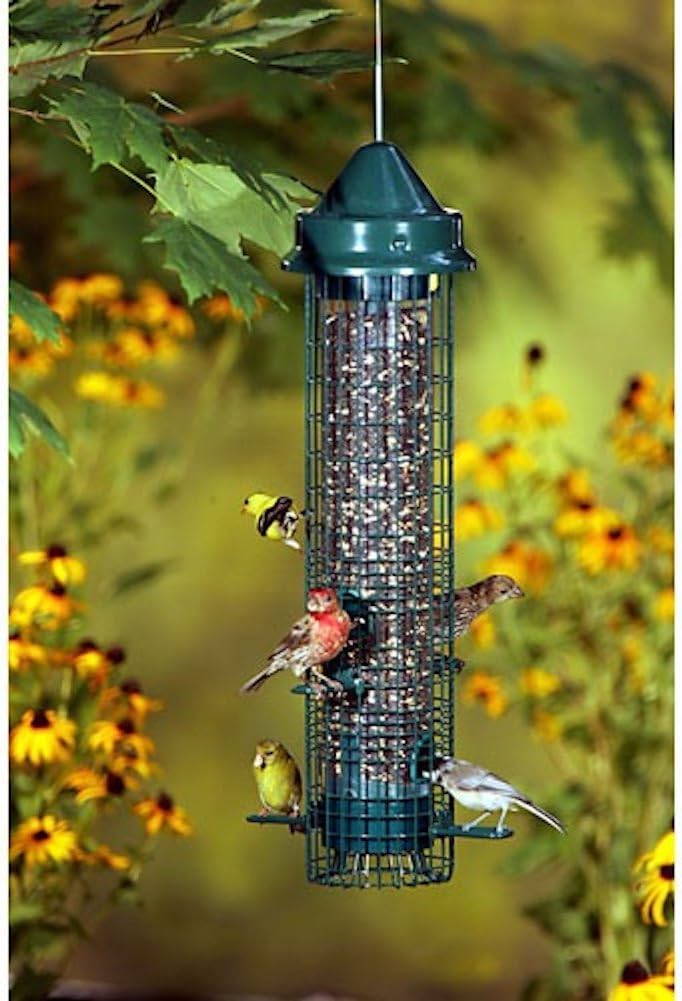 Brome GC Bird Care - Squirrel Buster Feeder - Classic