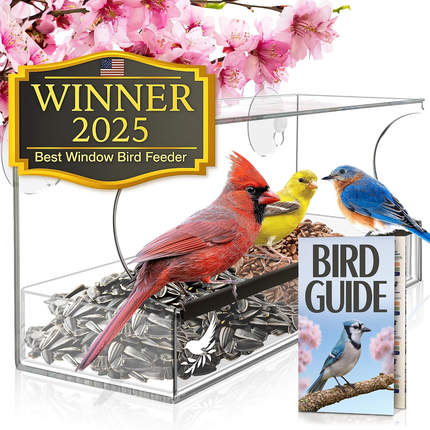 Window Bird Feeder by Nature's Hangout (B00YSU3WG2)