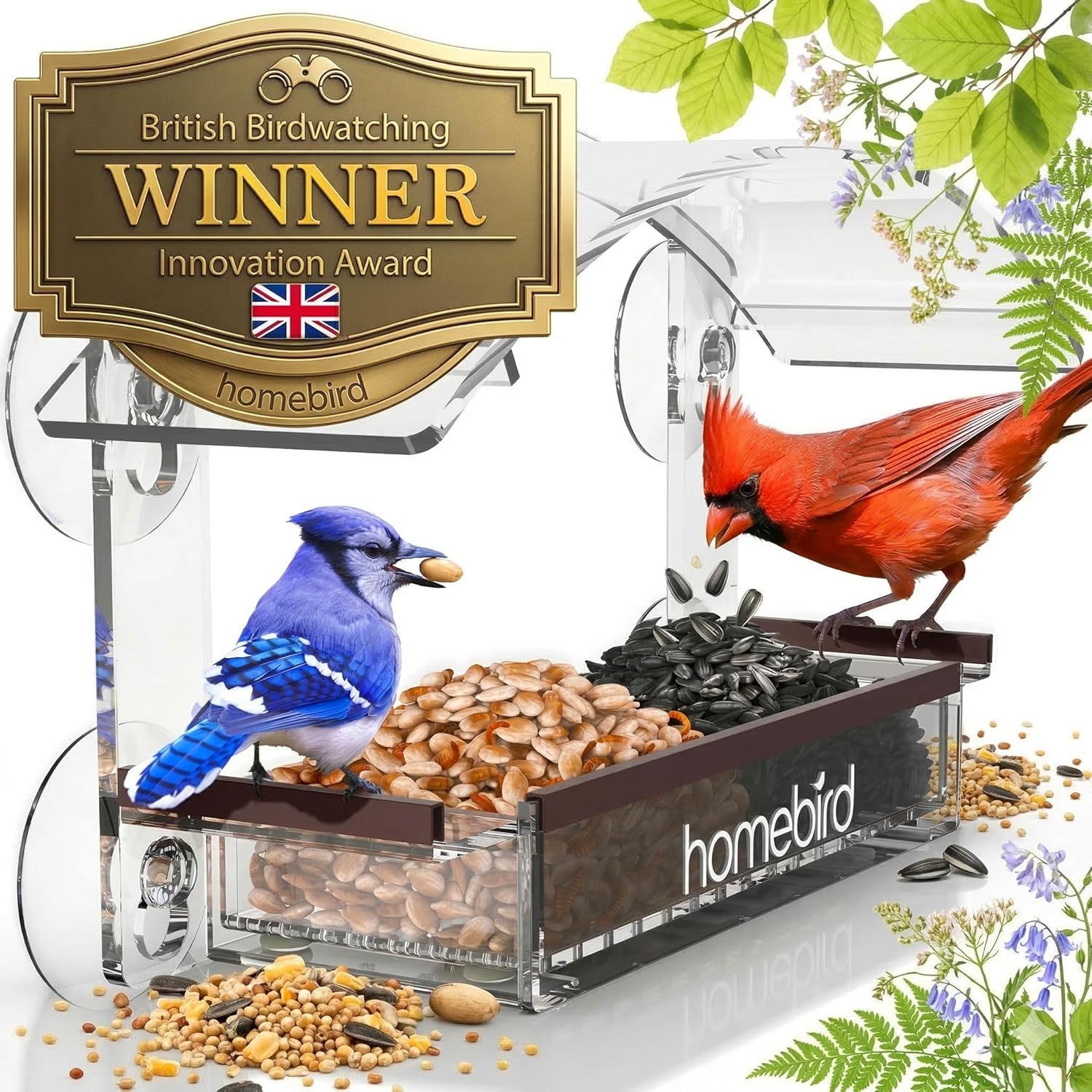 Window Bird Feeder with Strong Suction Cups, Upgraded (B094X5ZQ8L)