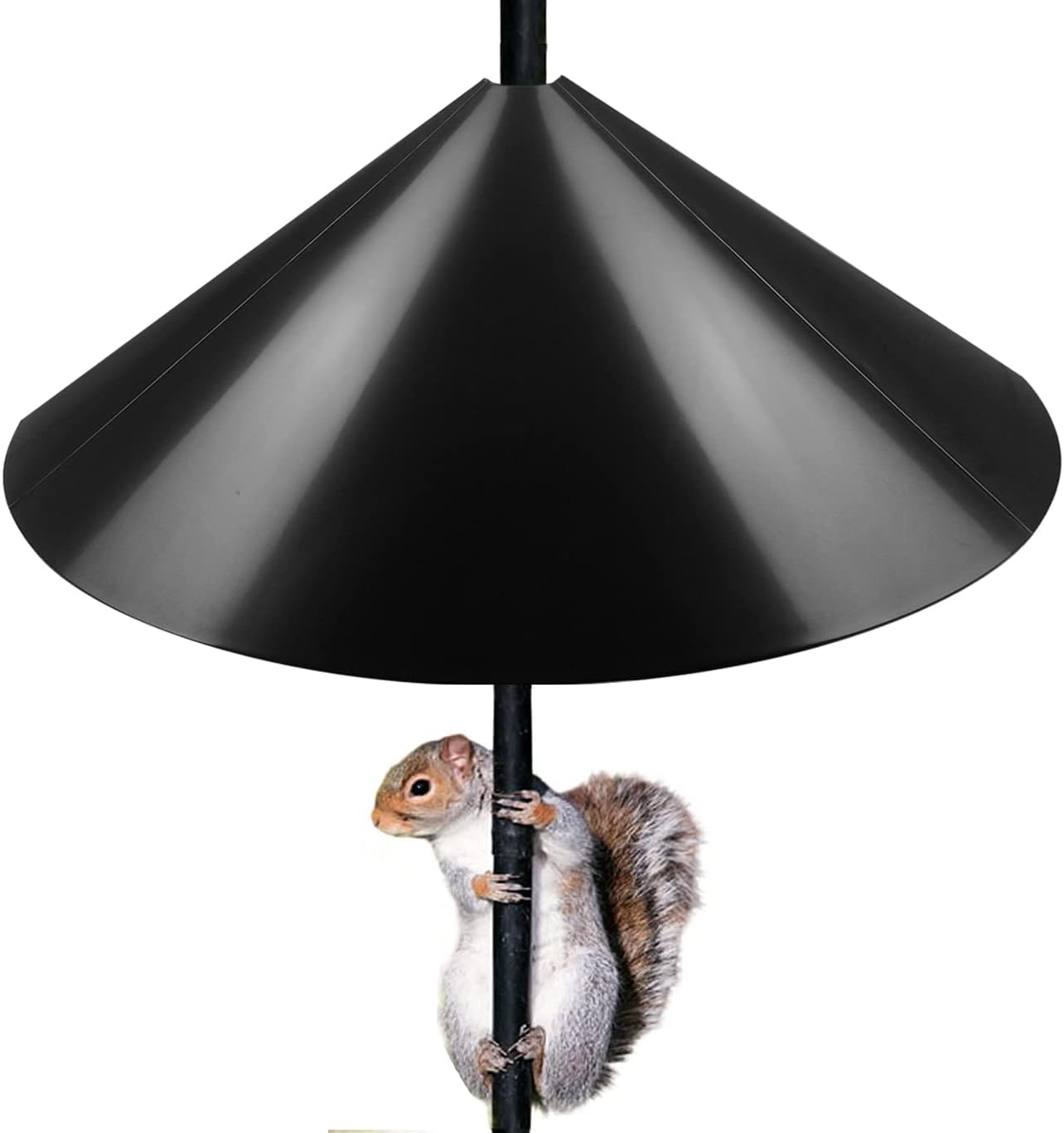 Queension 19-inch Squirrel Proof Baffle (B0B3GJJ981)