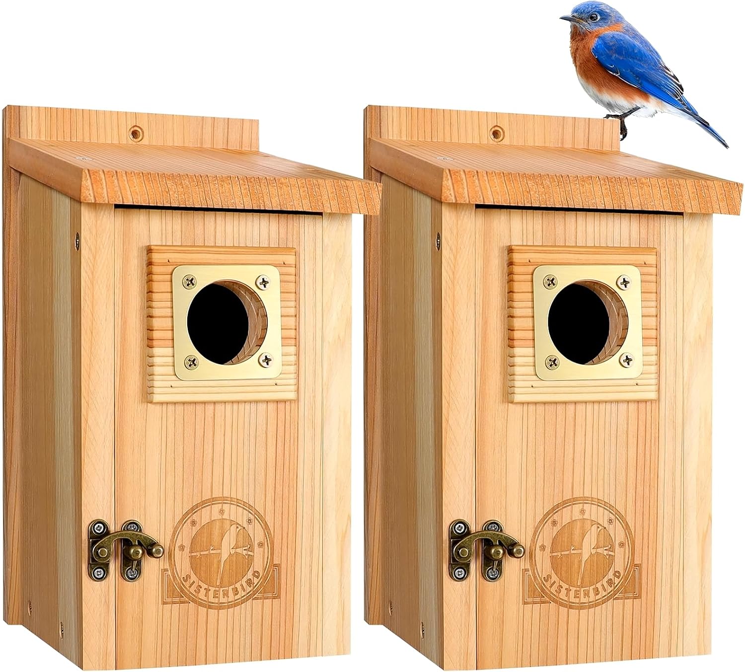SISTERBIRD 2 Pack Bluebird Houses (B0D78MXZ93)