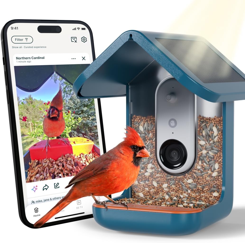 Bird Buddy Pro Solar (B0DHY6B9GY)