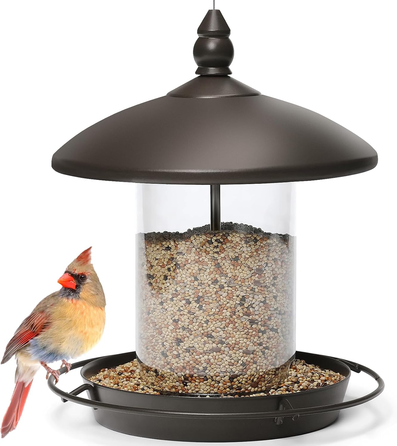 Youvip Metal Roof Feeder (B0DK153SH2)