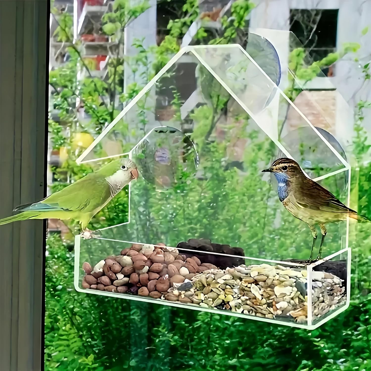 Clear Acrylic Window-Mounted Bird Feeder