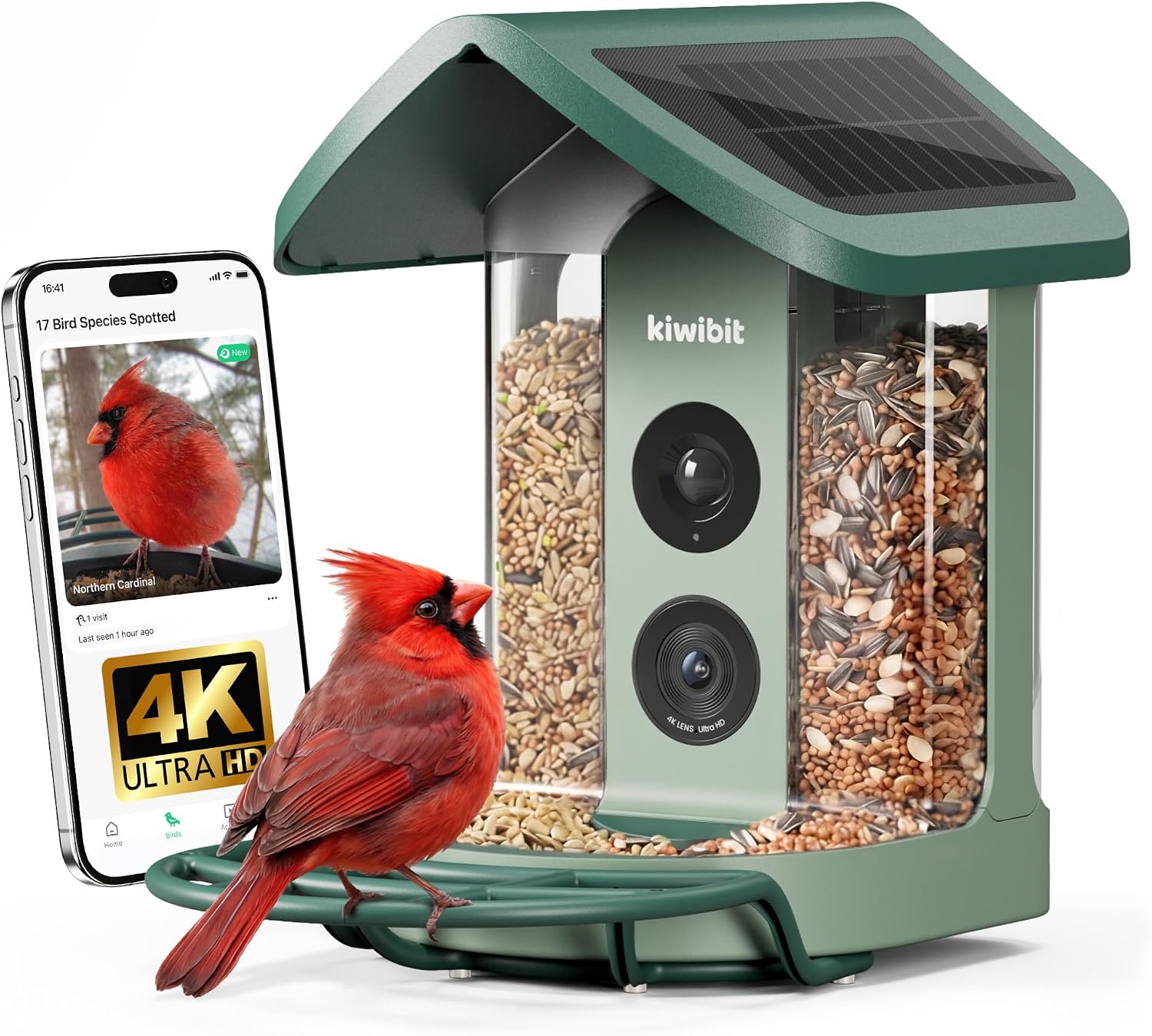 Solar Smart Bird Feeder 4K (B0FHW2TCRX)