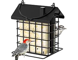 Gbekery All-Metal Double Suet Feeder (B0FNM3JR1P)