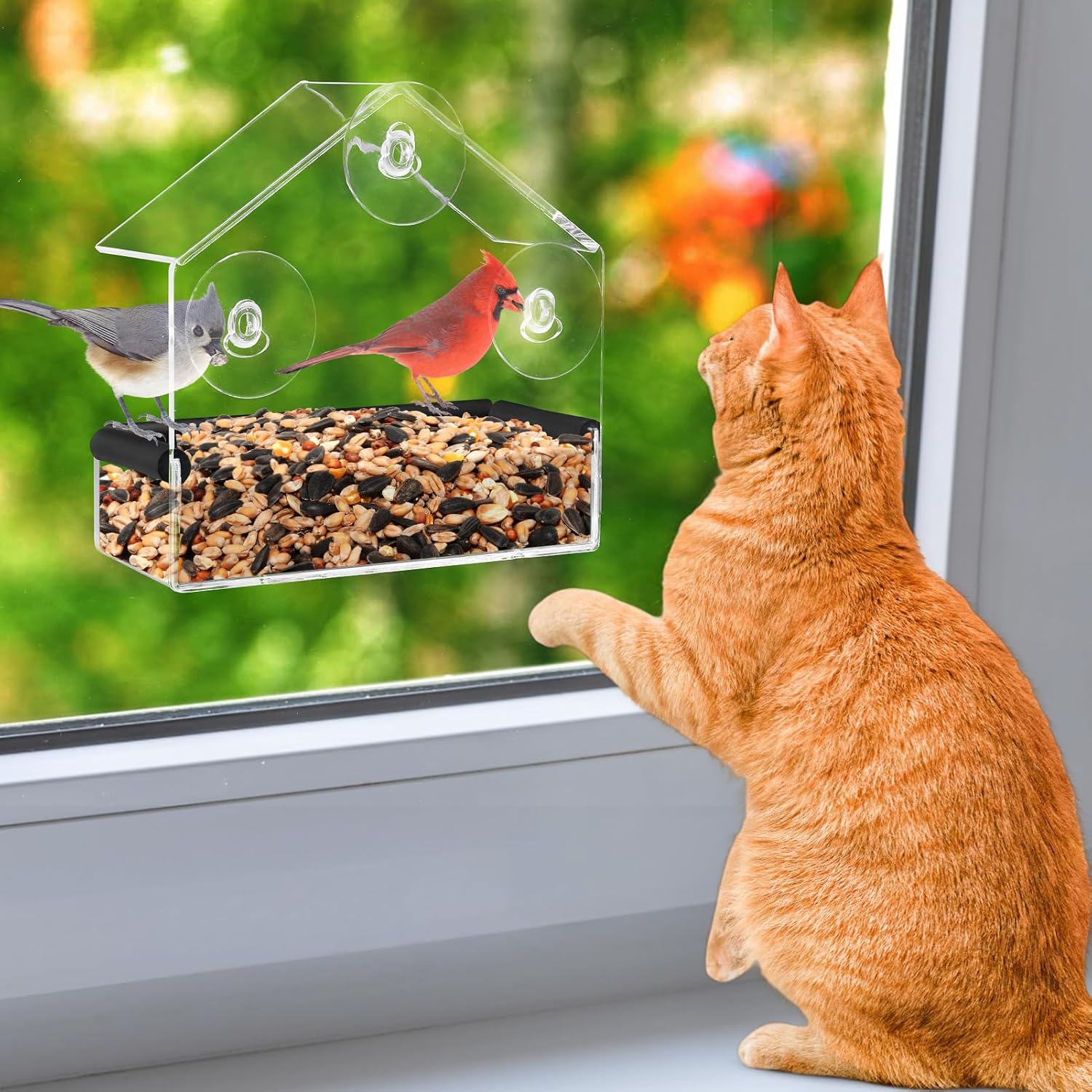 MEWTOGO Outdoor Window Bird Feeder for Cats Viewing, Small
