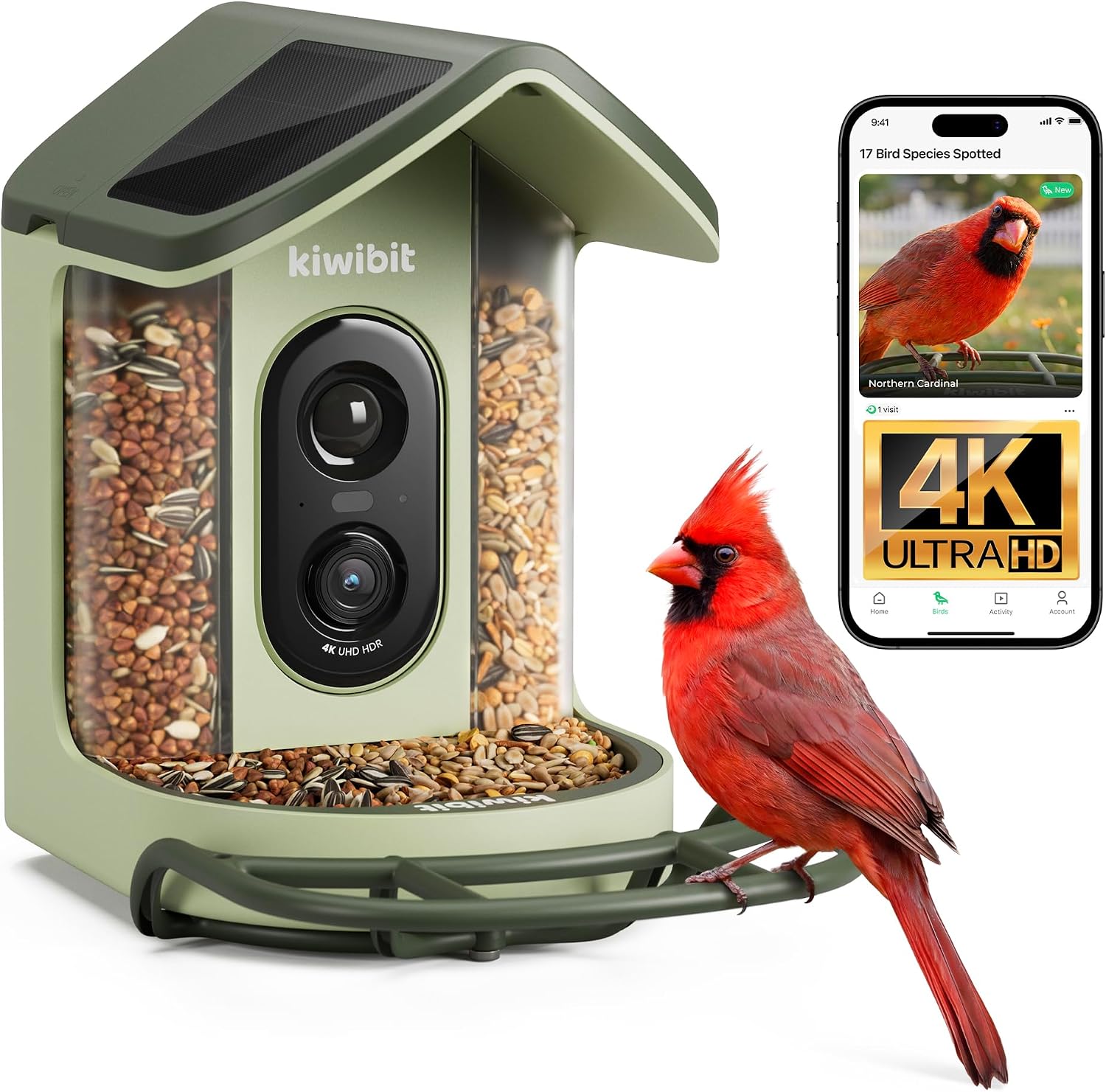 Solar Smart Bird Feeder 2 Mini (B0H1RLSG6W)