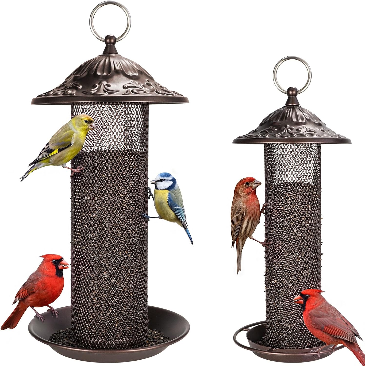 [Nyjer/Thistle Seeds Wild Bird Feeder 2 Pack, All-Metal Material (B0H397Y4RQ)](/dp/B0H397Y4RQ)